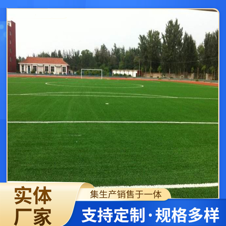 安顺市塑胶跑道人造草坪 - 价格